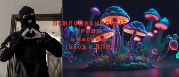 прущие грибы Аркадак