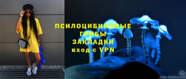 прущие грибы Аркадак
