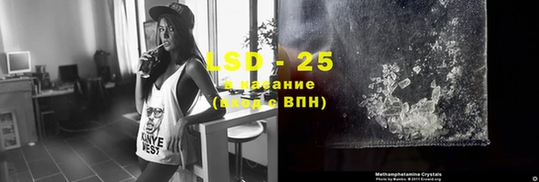 прущие грибы Аркадак