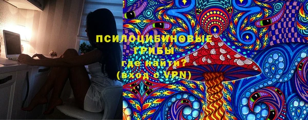 прущие грибы Аркадак