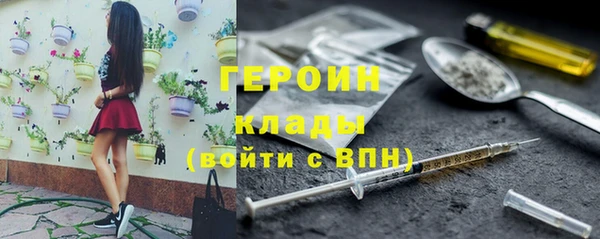 прущие грибы Аркадак