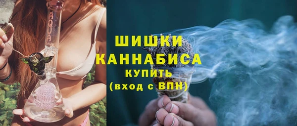 прущие грибы Аркадак