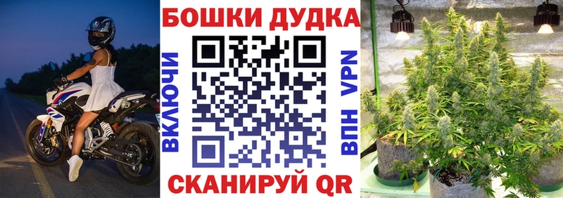дарк нет какой сайт  Похвистнево  Бошки Шишки план 